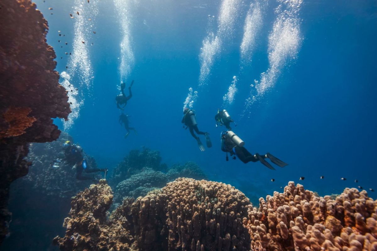 Arrecife Alacranes se ubica al norte de Puerto Progreso 