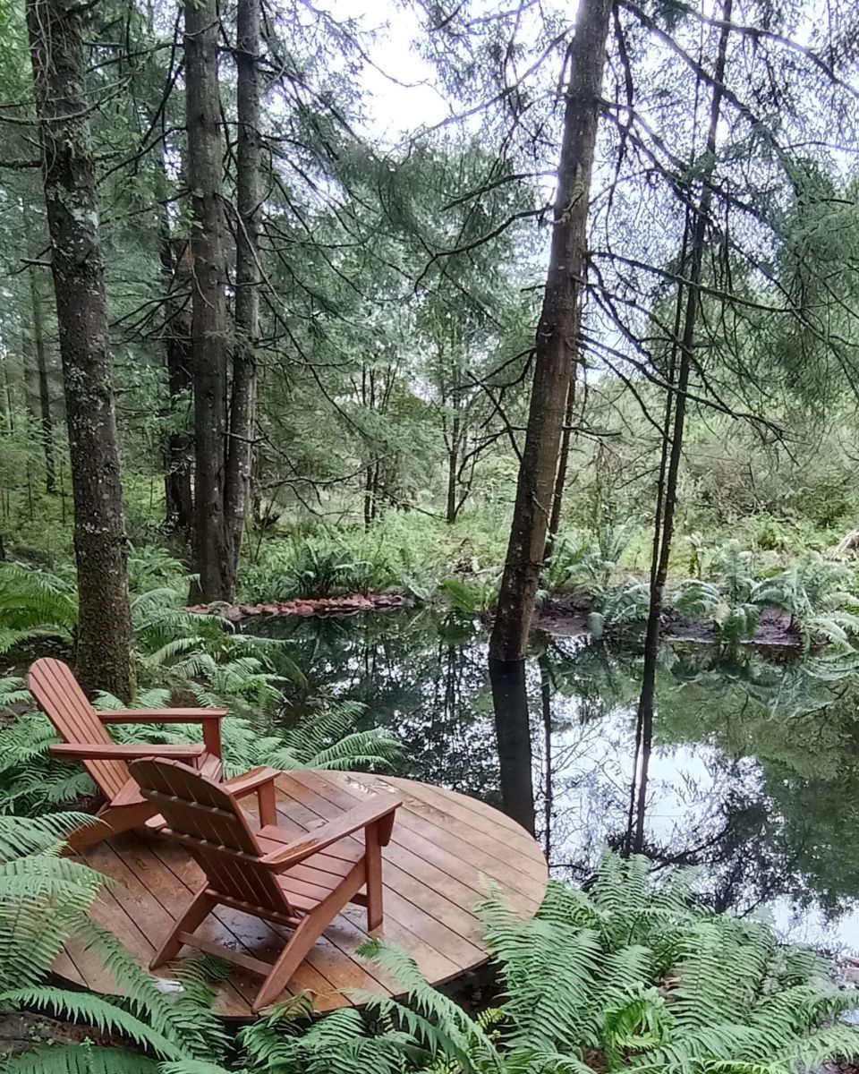 Bosques, montañas y manantiales en Corral de Piedra