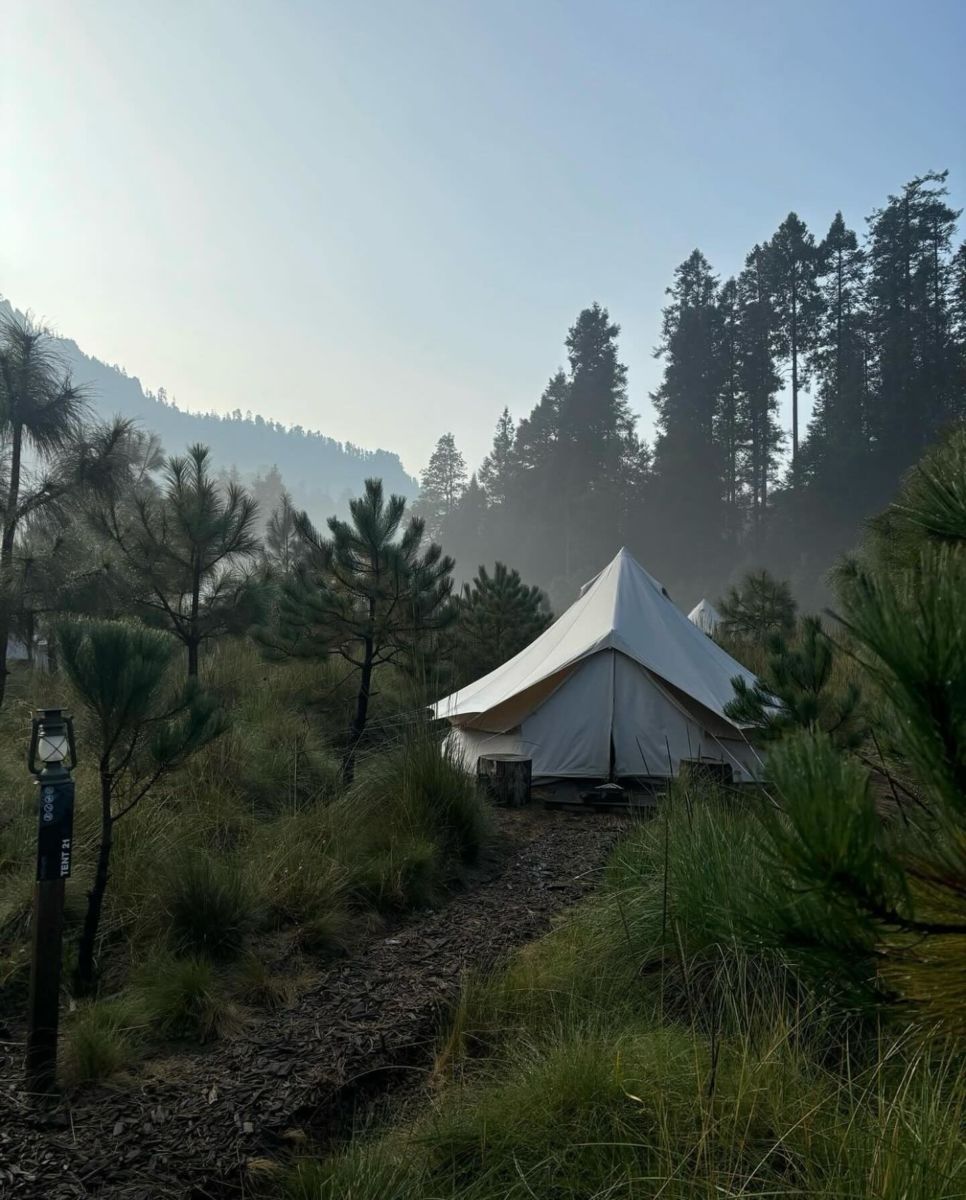 Si lo que necesitas es bosque, en este camping cerquita de la CDMX hay comida rica, bici de montaña y escalada