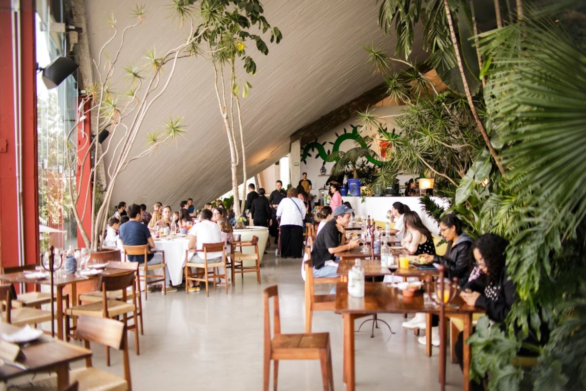 restaurante lagoalgo