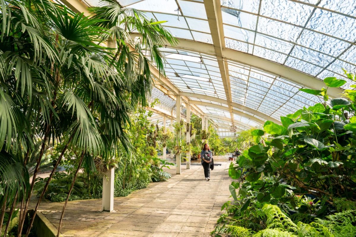 El Jardín Botánico de Chapultepec tiene un orquideario