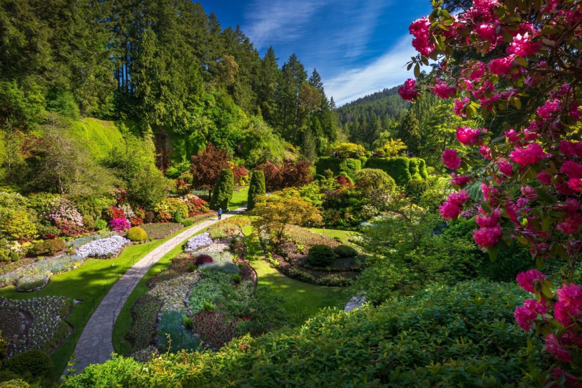 Parece sacado de Alicia en el País de las Maravillas, pero este jardín botánico existe y está en Canadá
