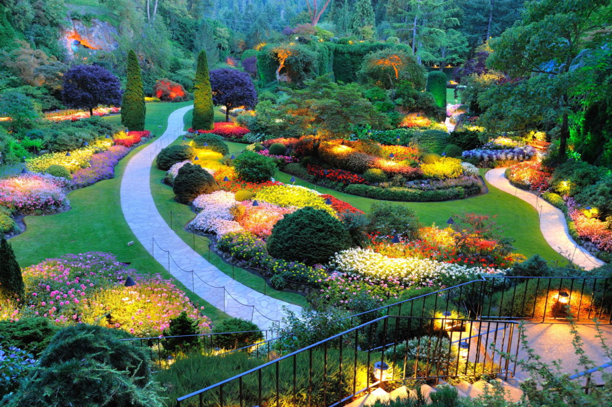 butchart gardens victoria de noche