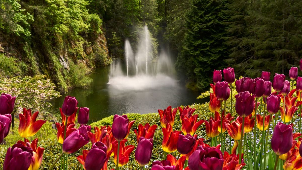 fuentes y lagos en butchart gardens