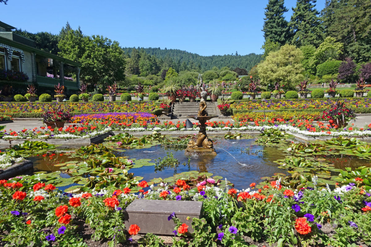 Jardín Italiano butchart gardens Victoria