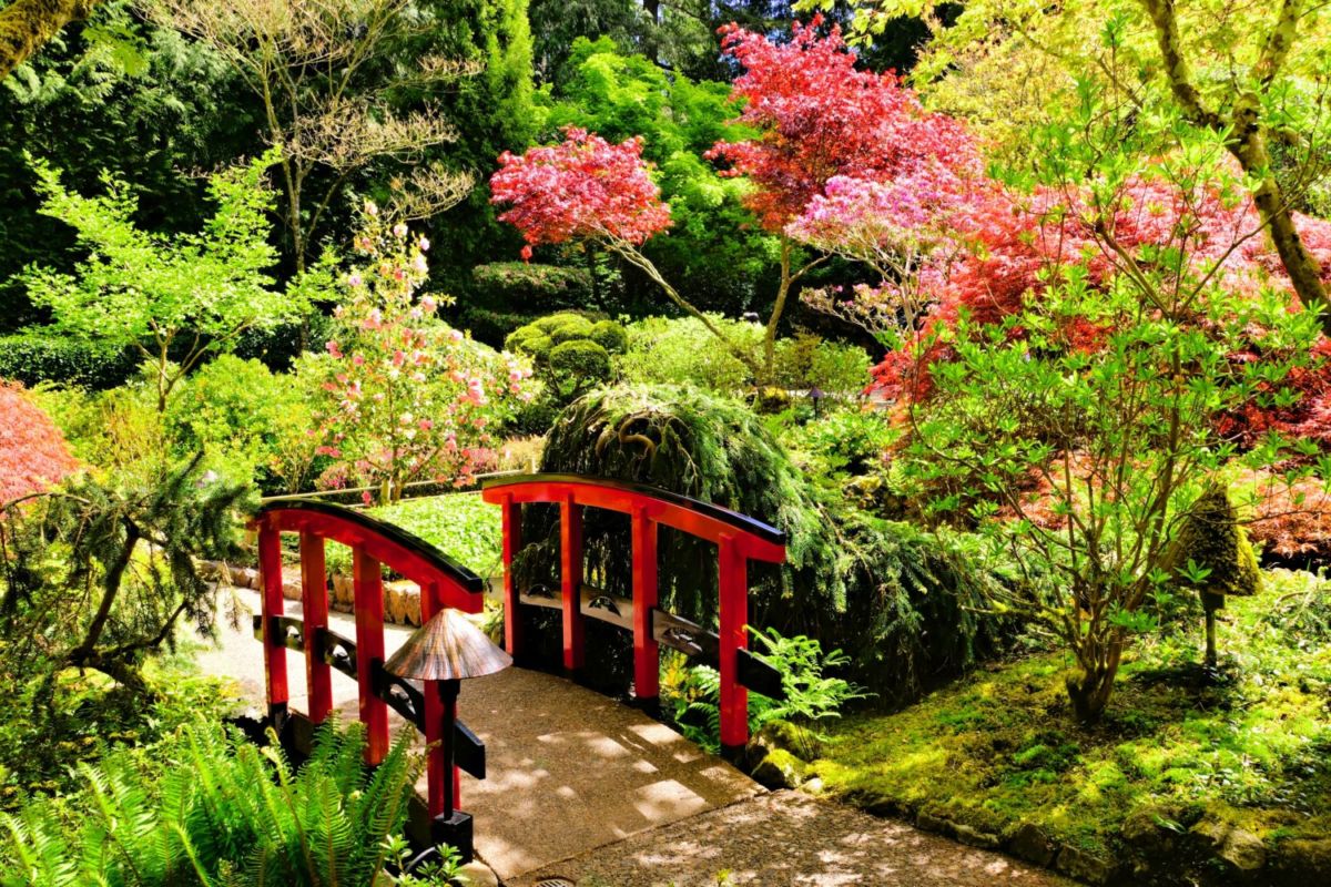 jardín japonés butchart gardens victoria