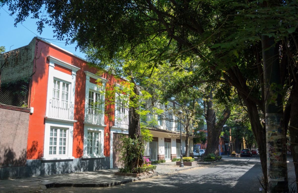 el sur de la CDMX también tiene mucho que ofrecer