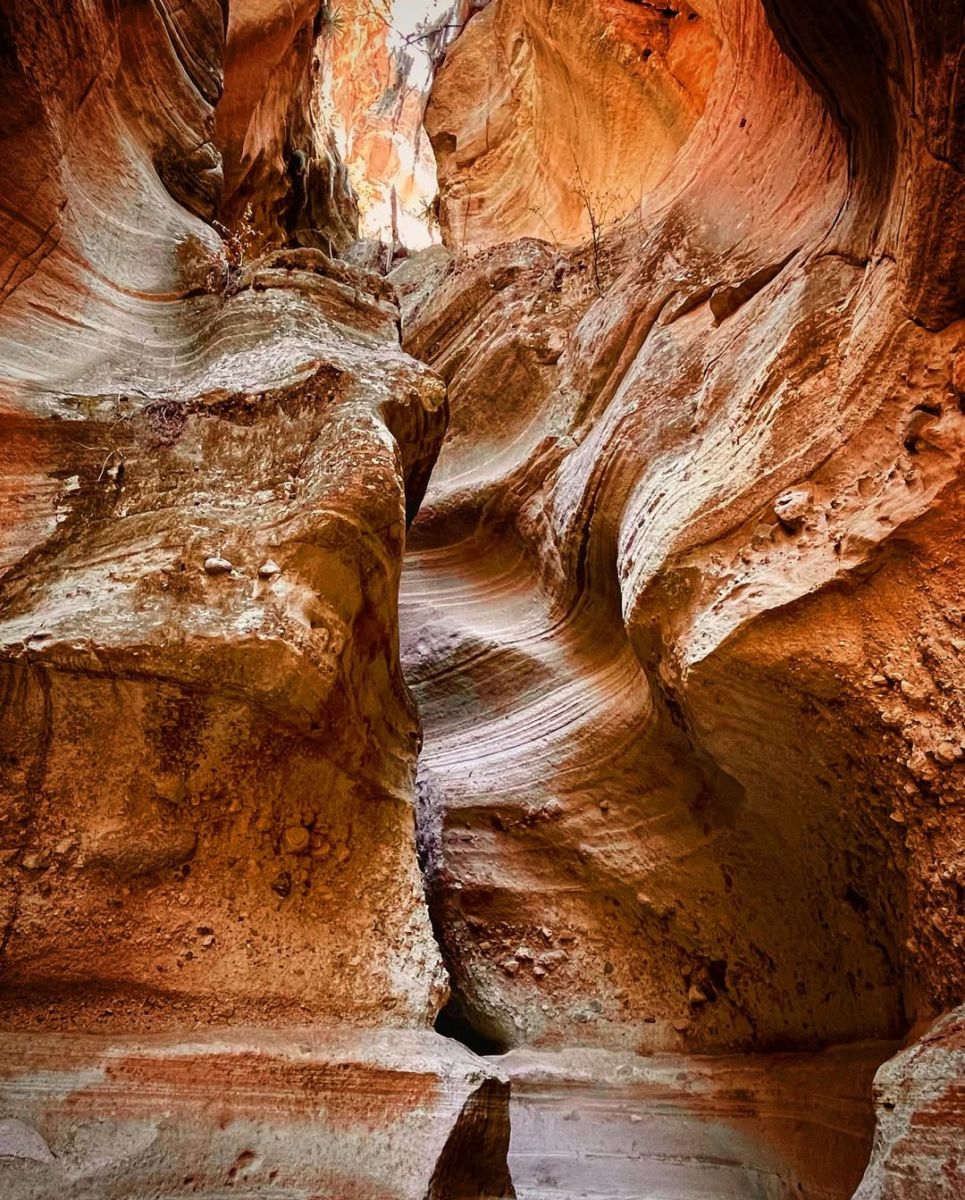 El Arroyo del Cura cuenta con casi 3 kilometros de longitud