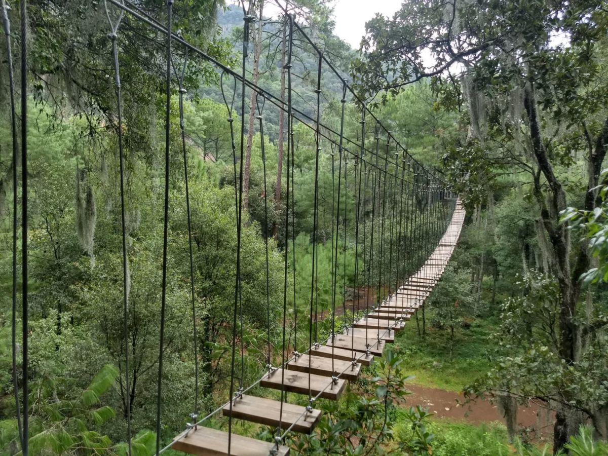 Puentes colgantes en Cascadas Tulimán 