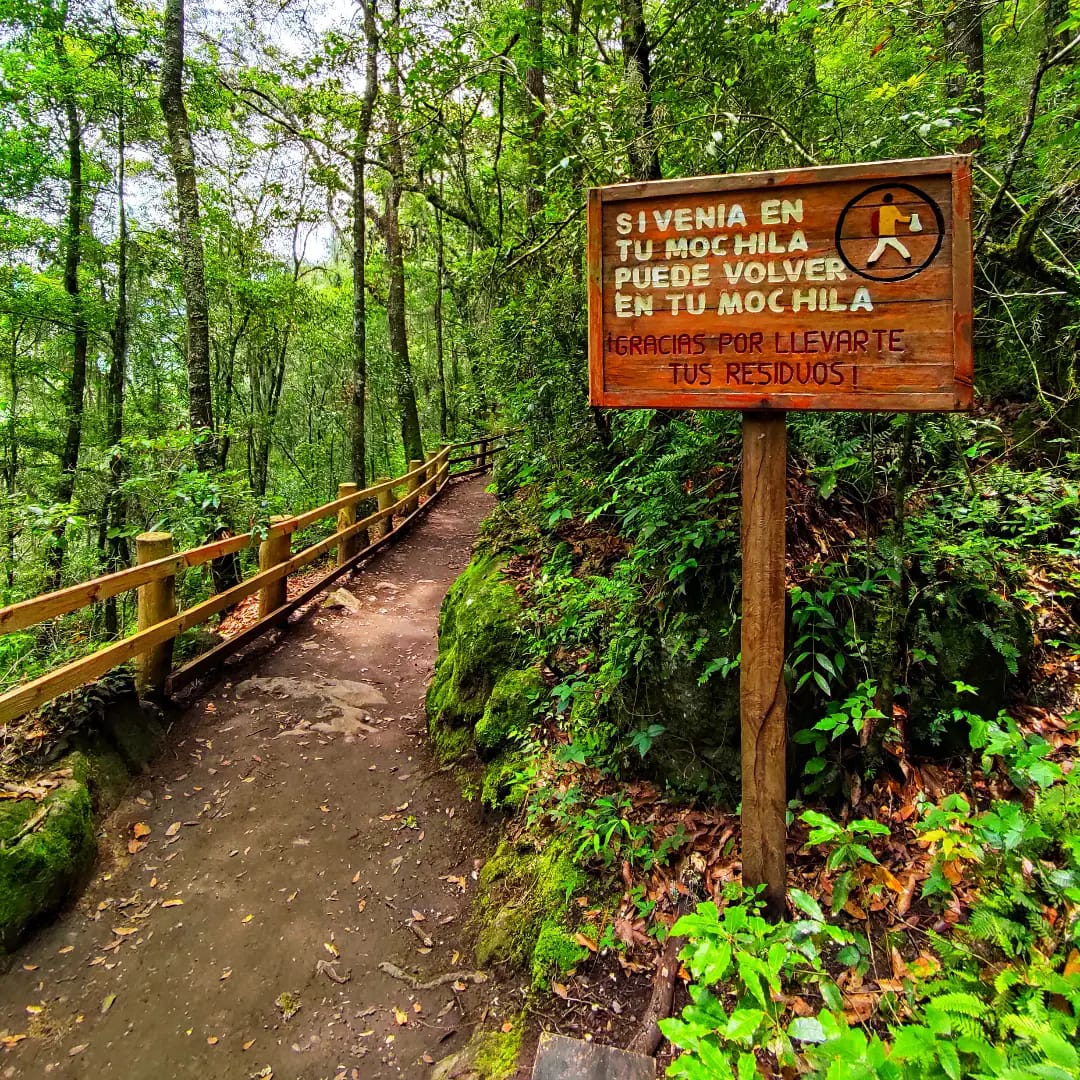 Senderos bien demarcados y seguros hacia la Cascada Tulimán