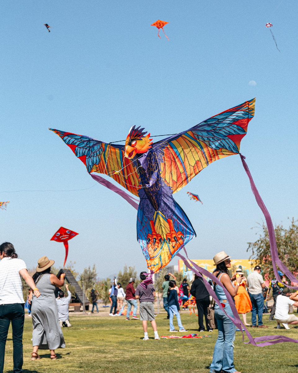 Fiesta de Los Papalotes es un evento que realiza Cava Bocanegra 