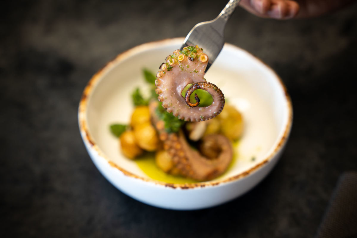 Platillos exquisitos en Pachuca. 