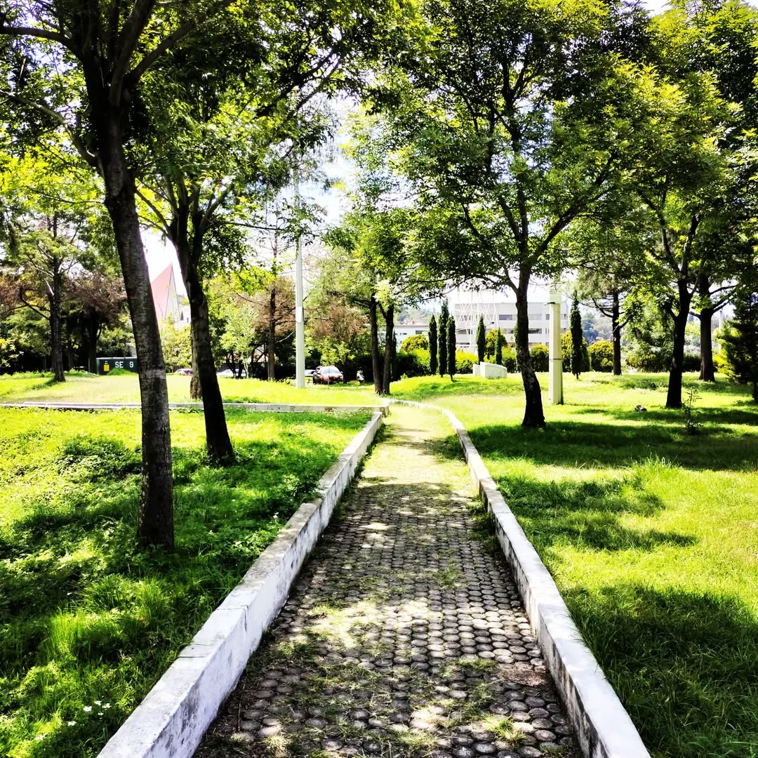 Lomas de Reforma