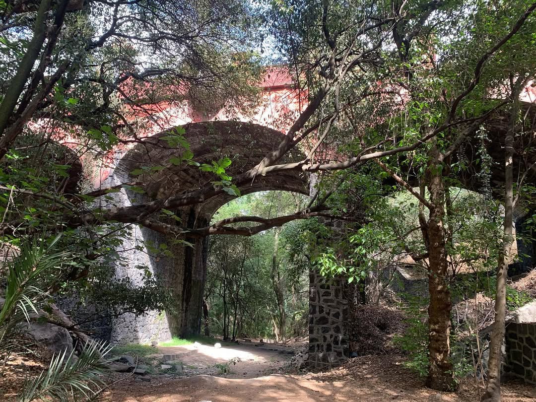 Parque Cárpatos