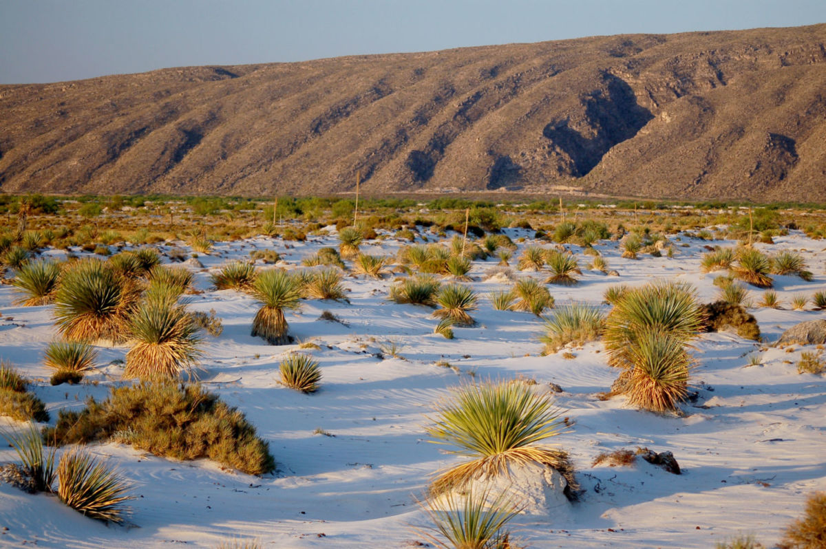 Dunas de yeso en Cuatro Ciénegas, Coahuila