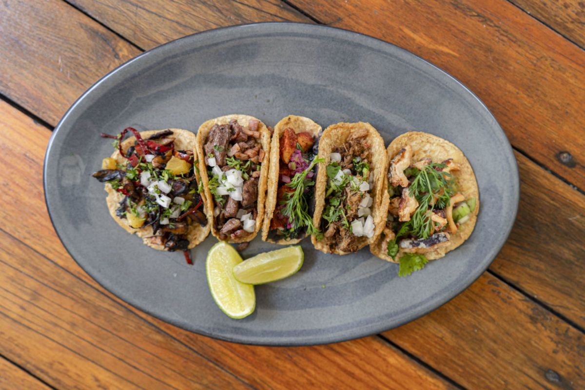 Degustación de tacos