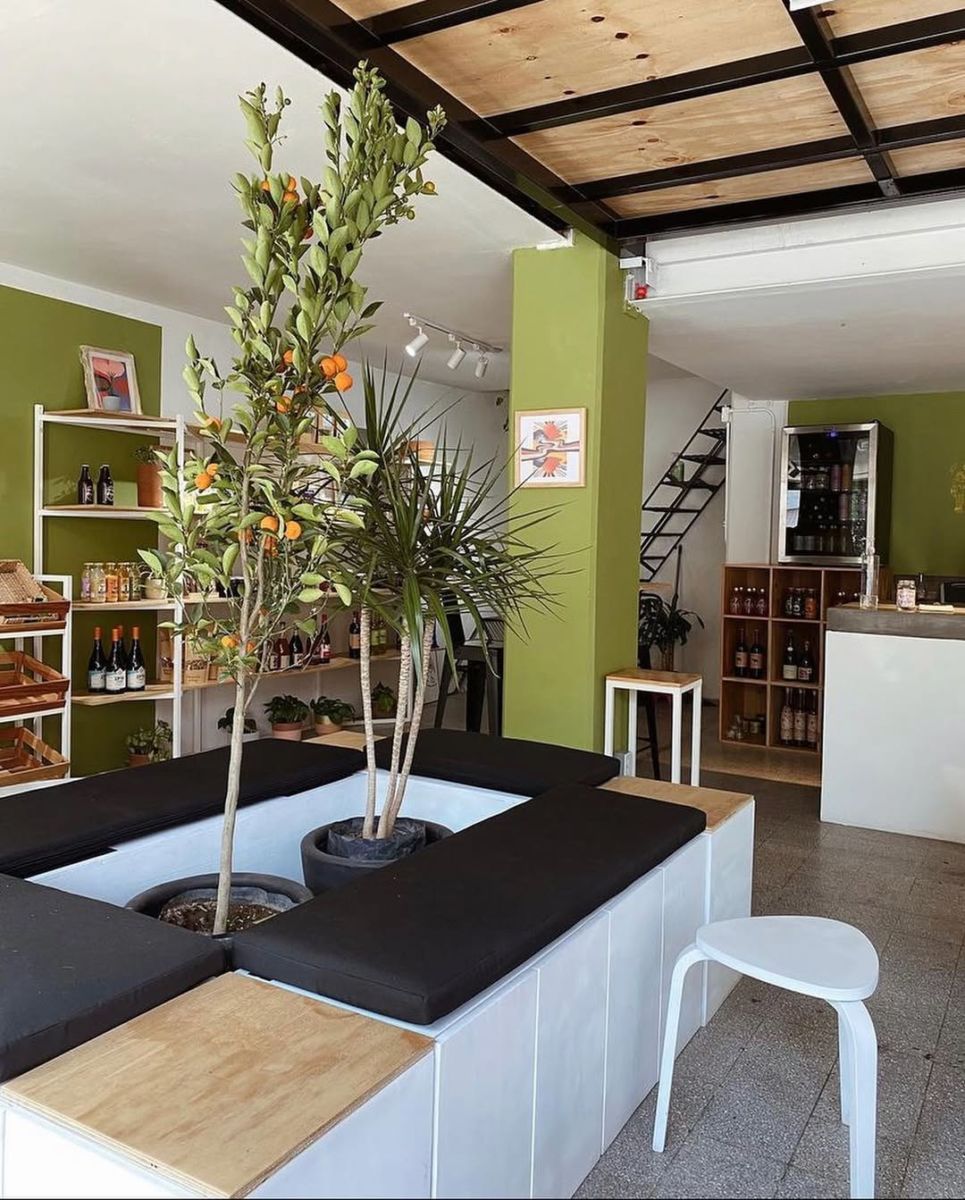 Dónde comer en la colonia San Rafael 