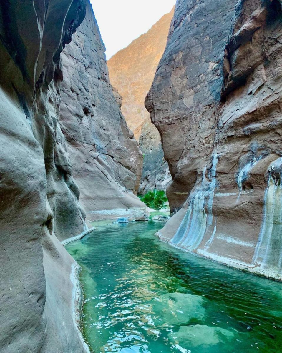 Todo amante de la aventura debería conocer estos senderos en Baja California Sur
