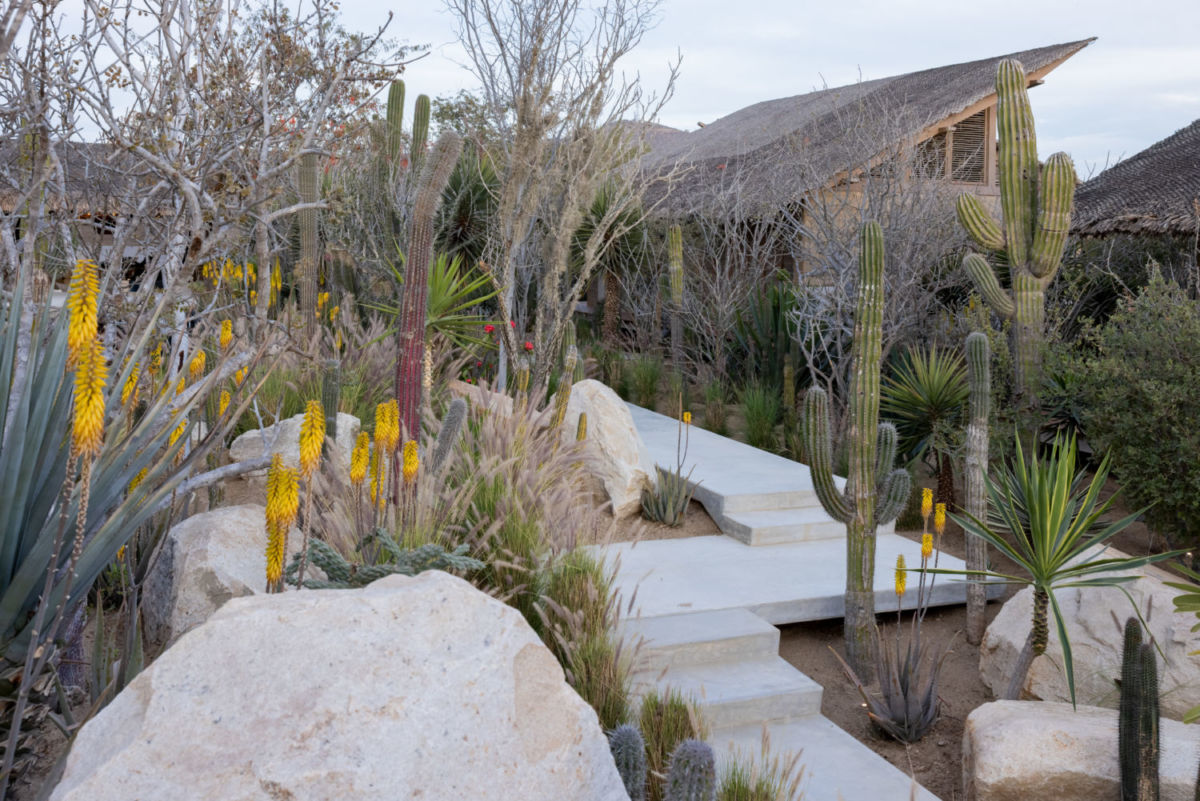 Alojamiento en el desierto mexicano 