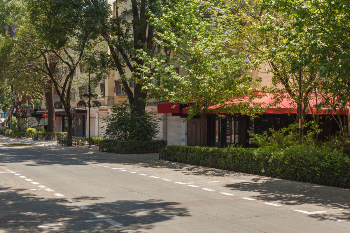 Polanco es uno de los barrios más exclusivos de la CDMX 