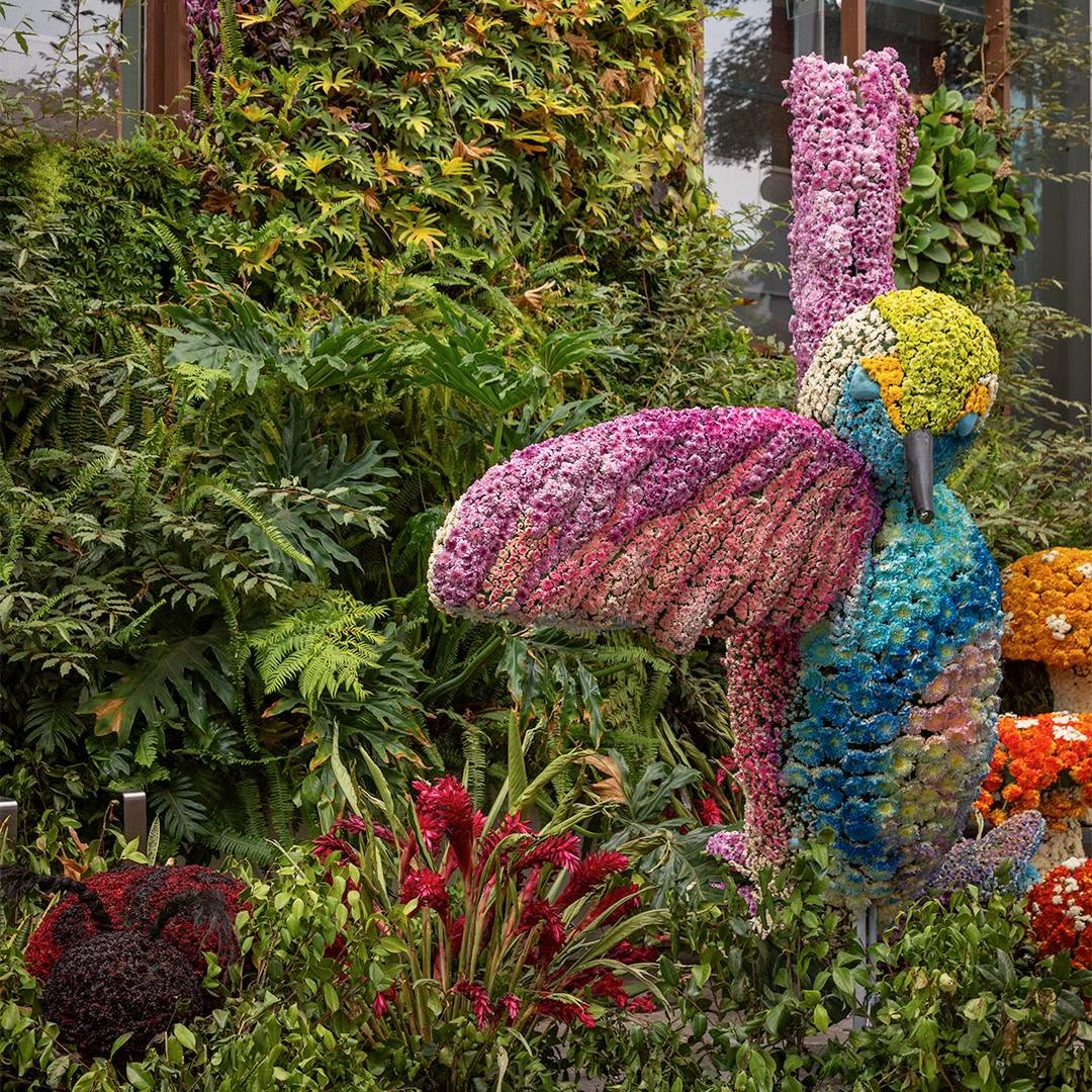 Festival de Flores y Jardines Polanco 2025