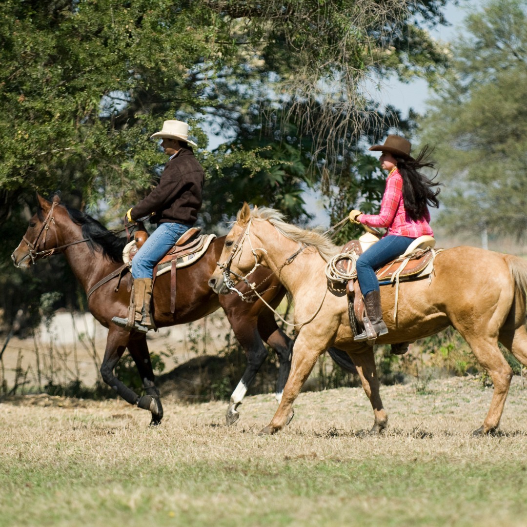 ecorridos a caballo por la Hacienda Labor de Rivera