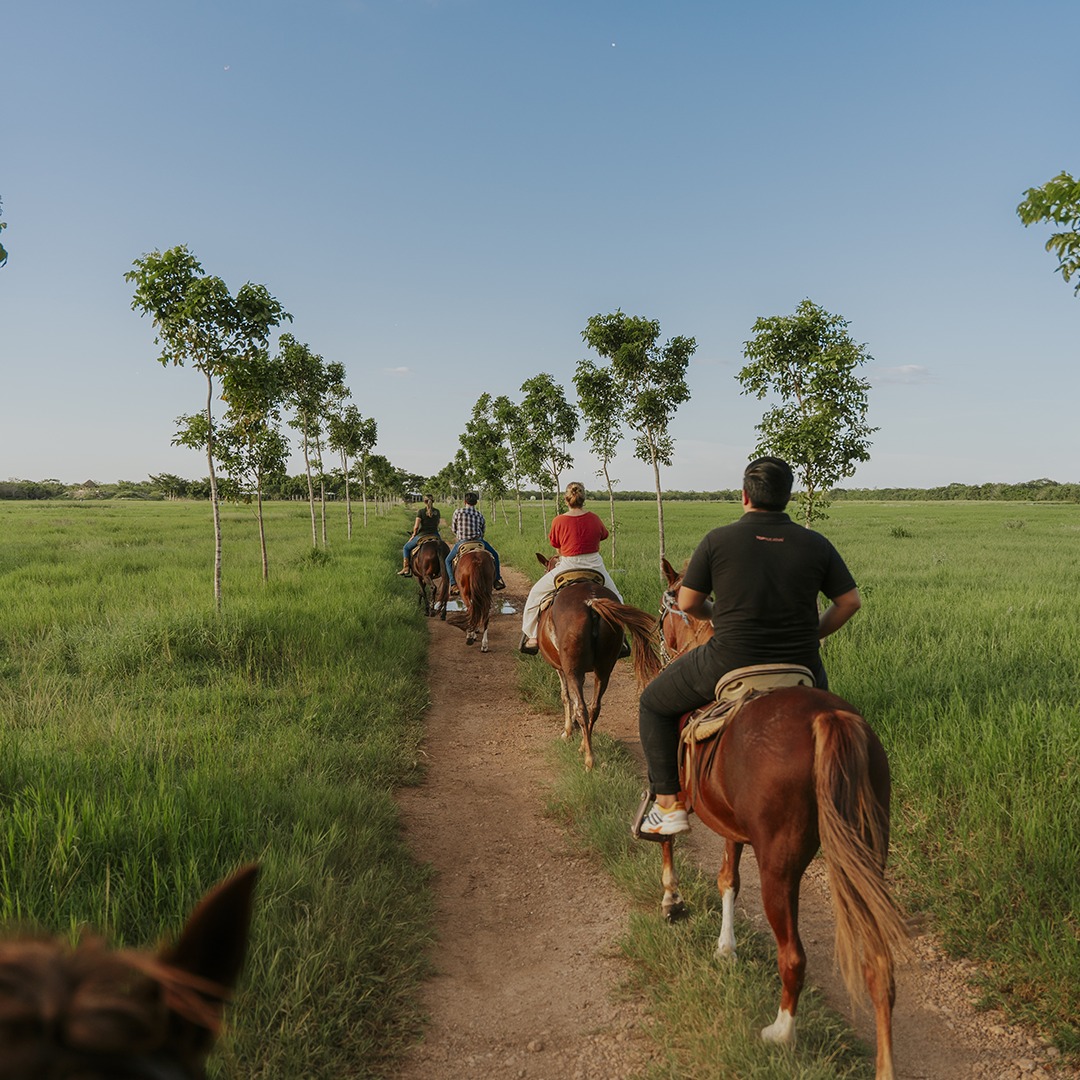 La Hacienda Zamná se dedica a hacer tours. en caballo 