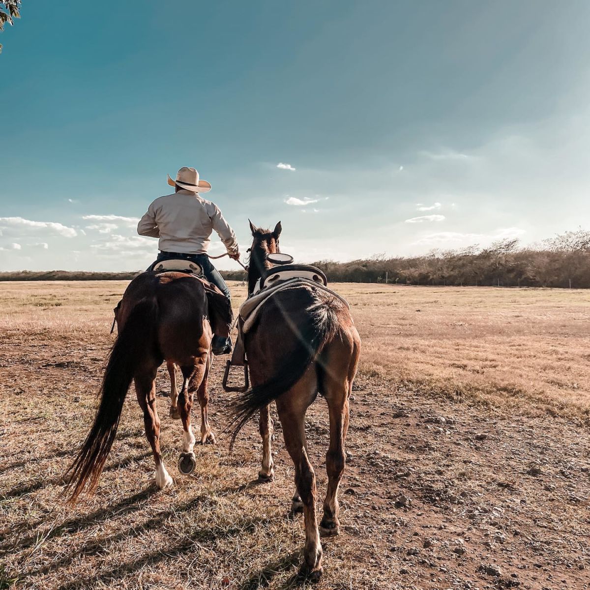 Disfruta de paseos a caballo alrededor de esta preciosa hacienda henequenera de Yucatán 