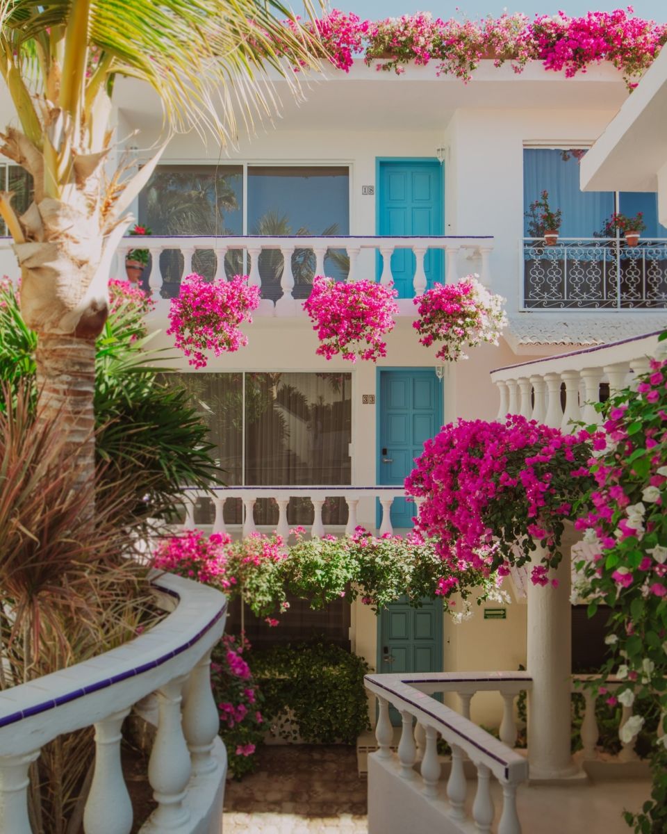 Hoteles bonitos en Baja California Sur