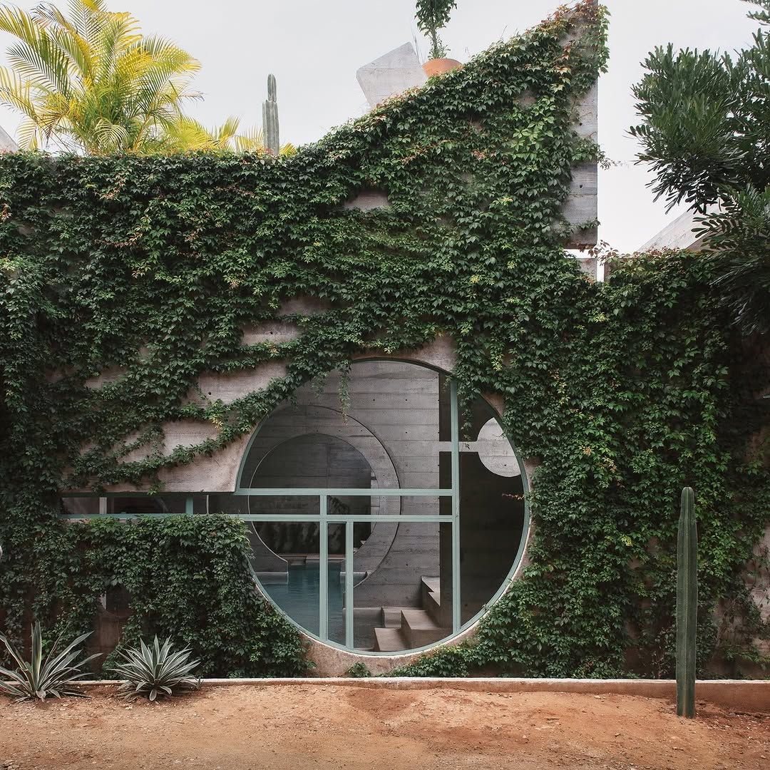 Hoteles en Puerto Escondido 