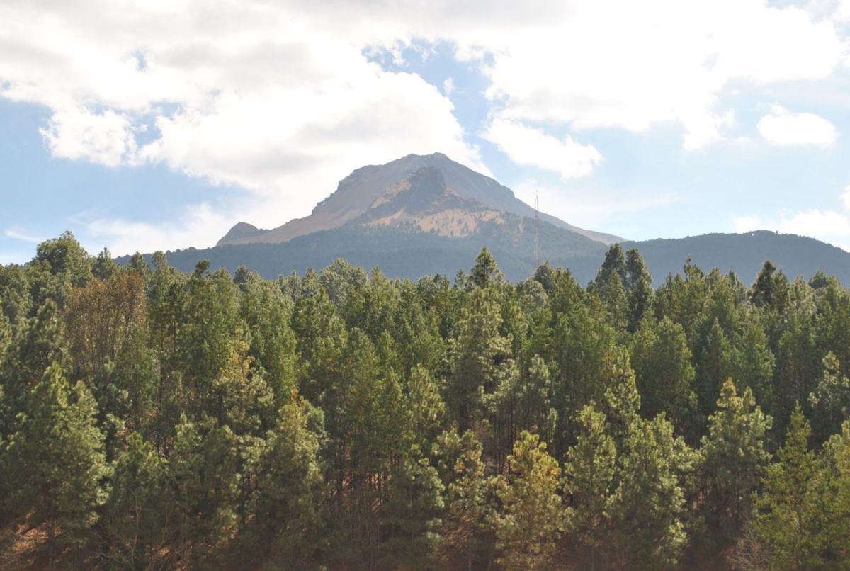 La Malinche