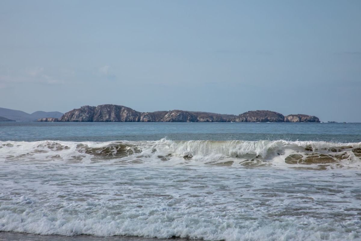 Isla Cocinas fue declarada Área Natural Protegida