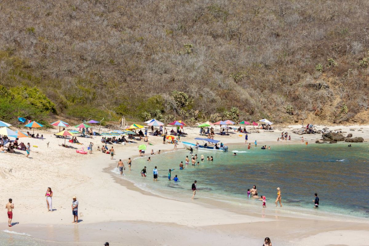 Actividades que puedes hacer en Isla Cocinas 