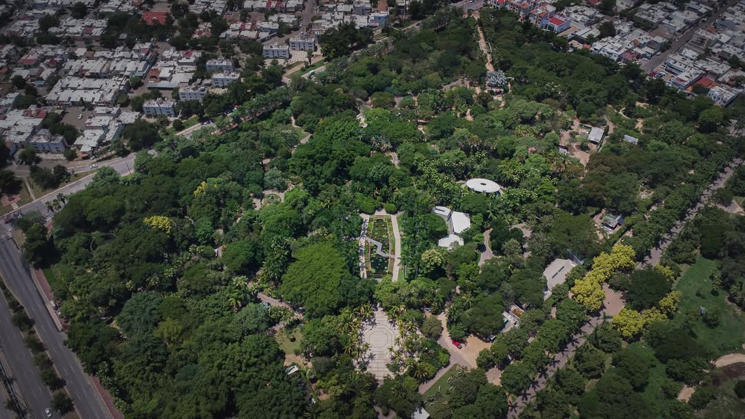 Jardín Botánico Culiacán