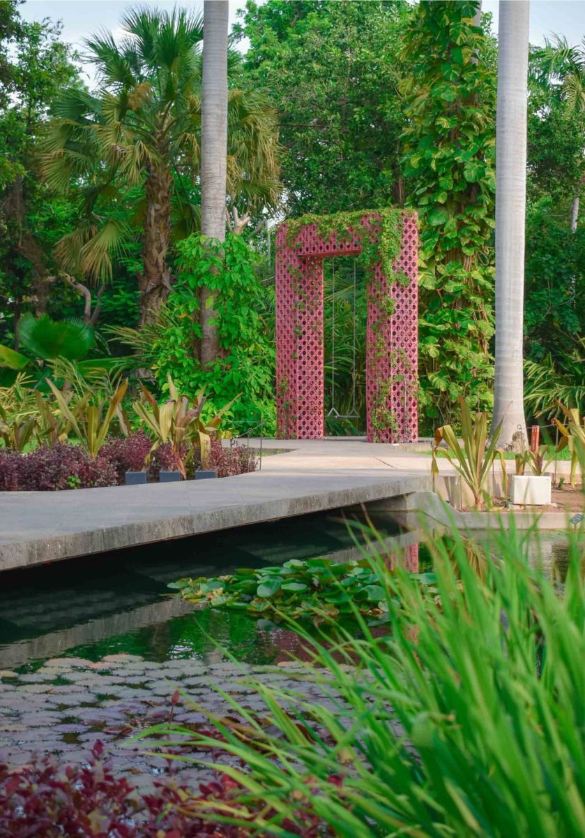 El jardín botánico de México que nadie ubica, donde plantas de todo el mundo conviven en un solo recorrido