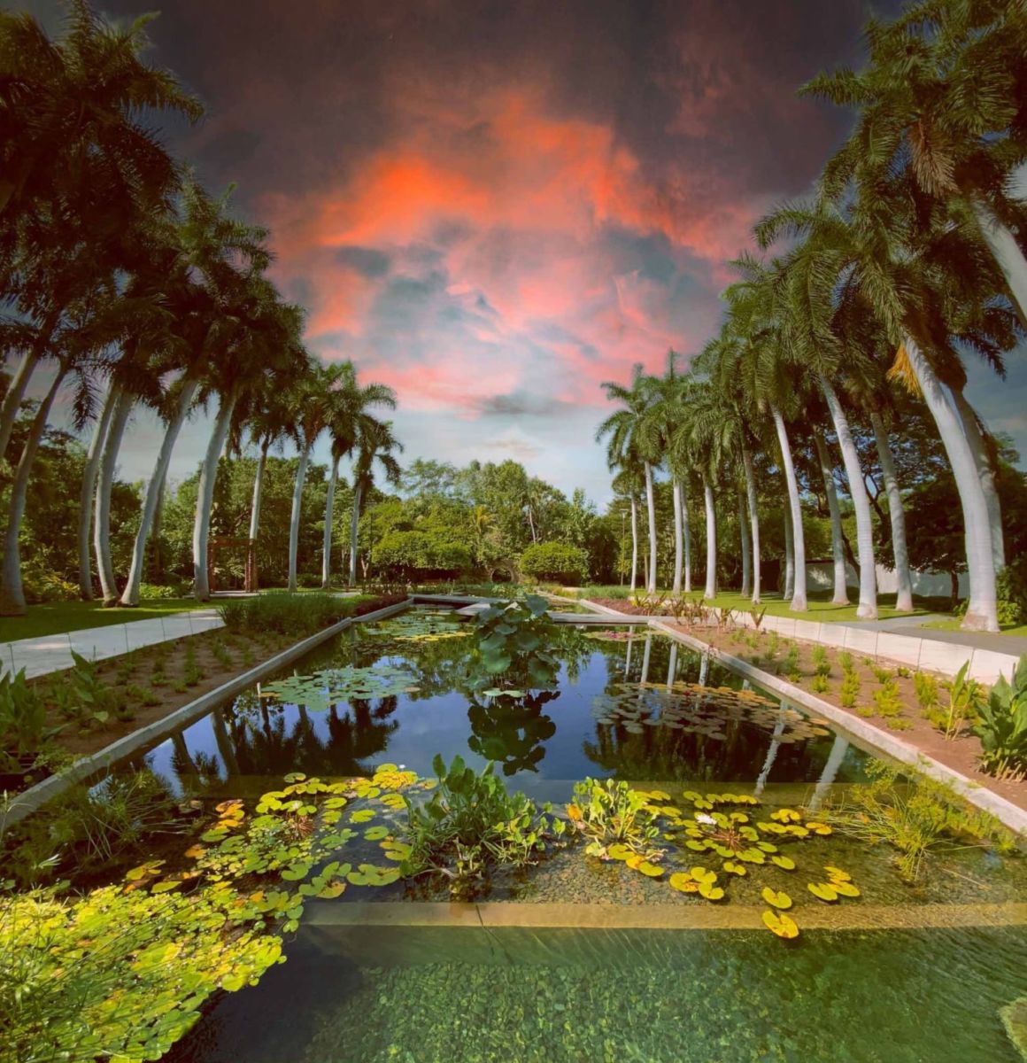 Jardín Botánico Culiacán, un muestrario de botánica internacional