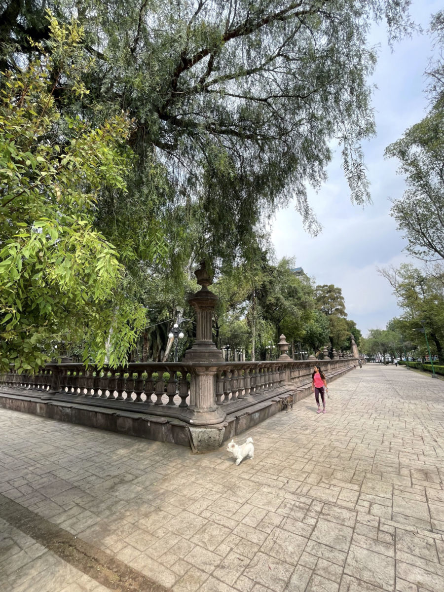 Jardín de Santiago en la CDMX