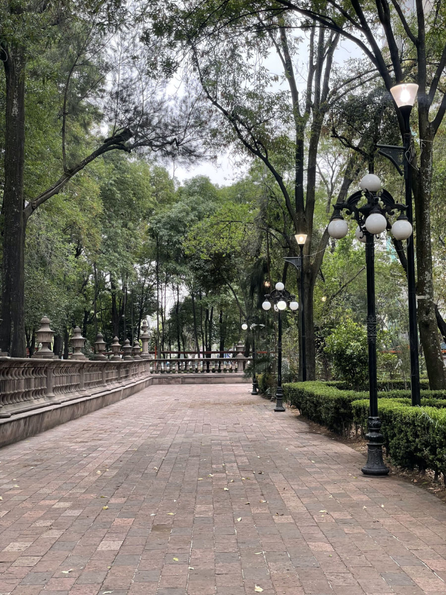 Jardines bonitos en CDMX