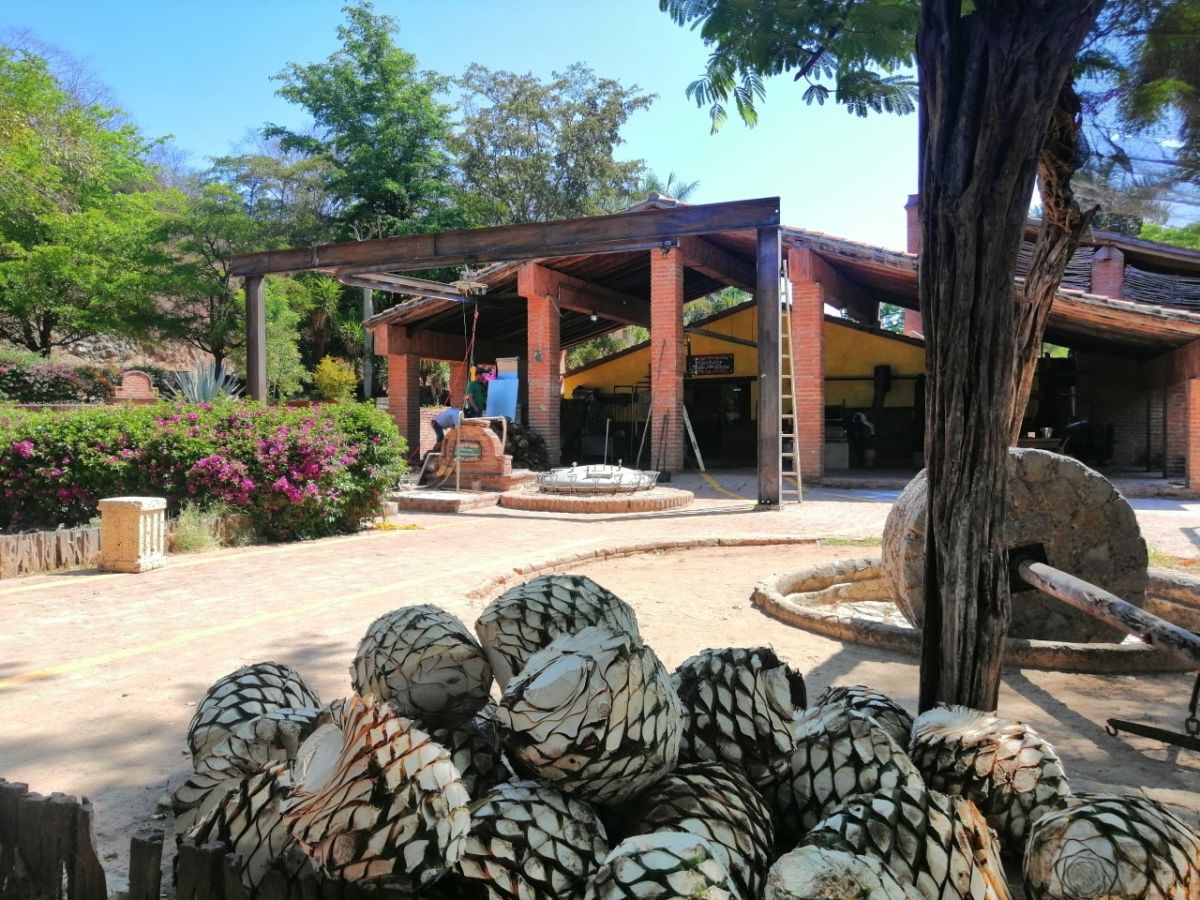 Vinata Los Osuna en La Noria