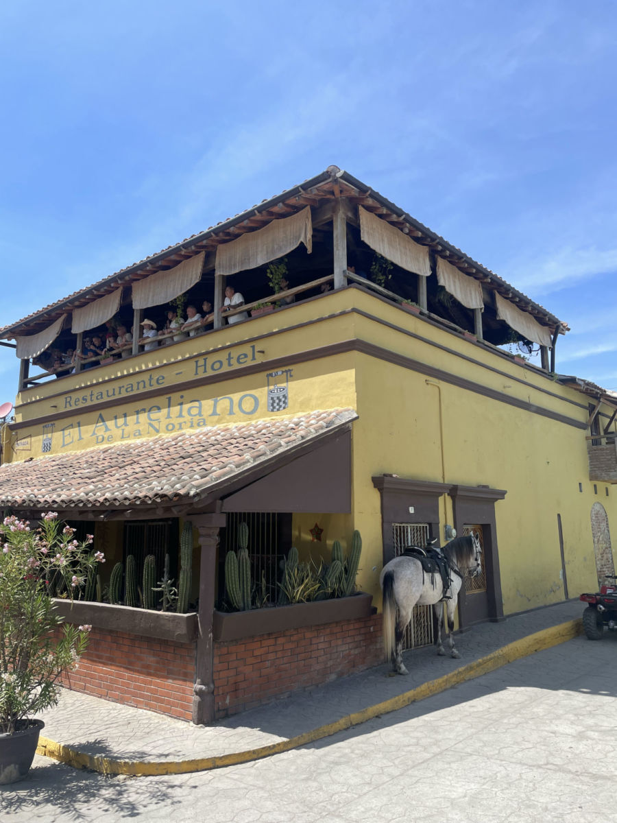 Restaurante El Aureliano de La Noria