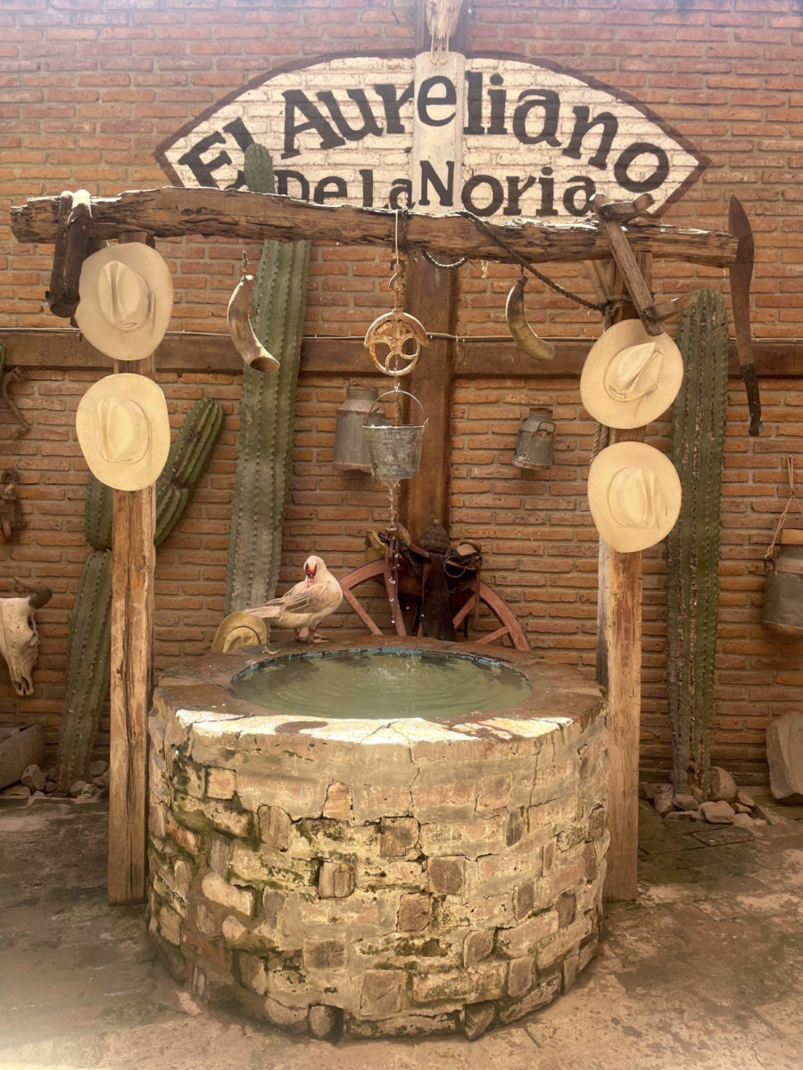 Restaurante El Aureliano de La Noria