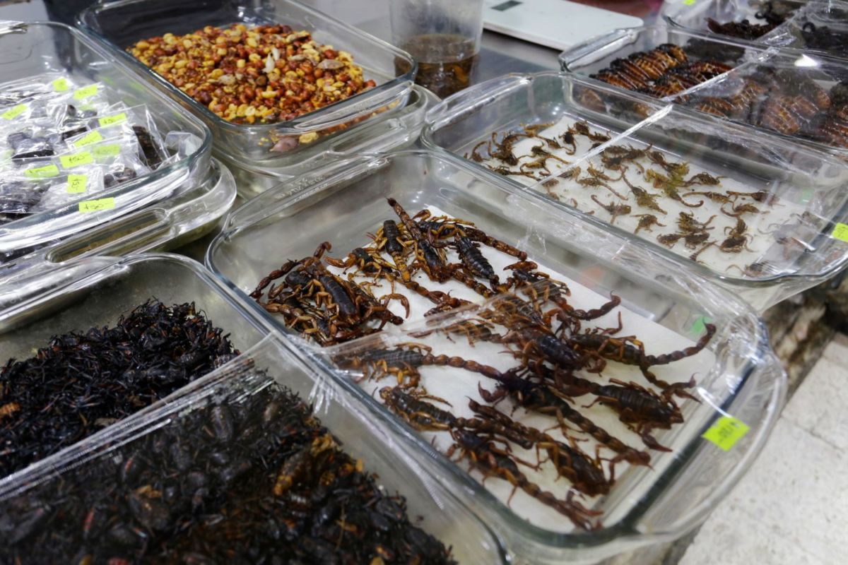 Insectos en el Mercado San Juan de la CDMX