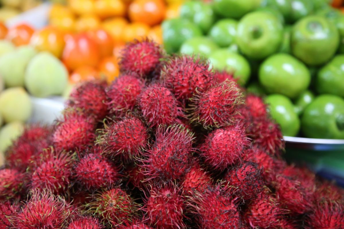 Fruta exótica rambután en el Mercado San Juan