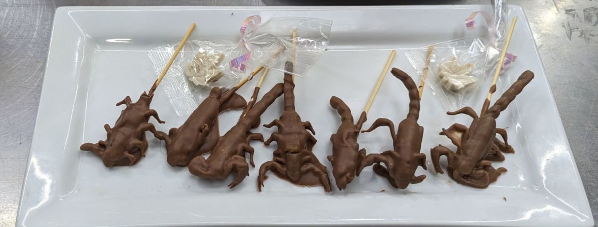 Alacranes cubiertos de chocolate en el Mercado San Juan