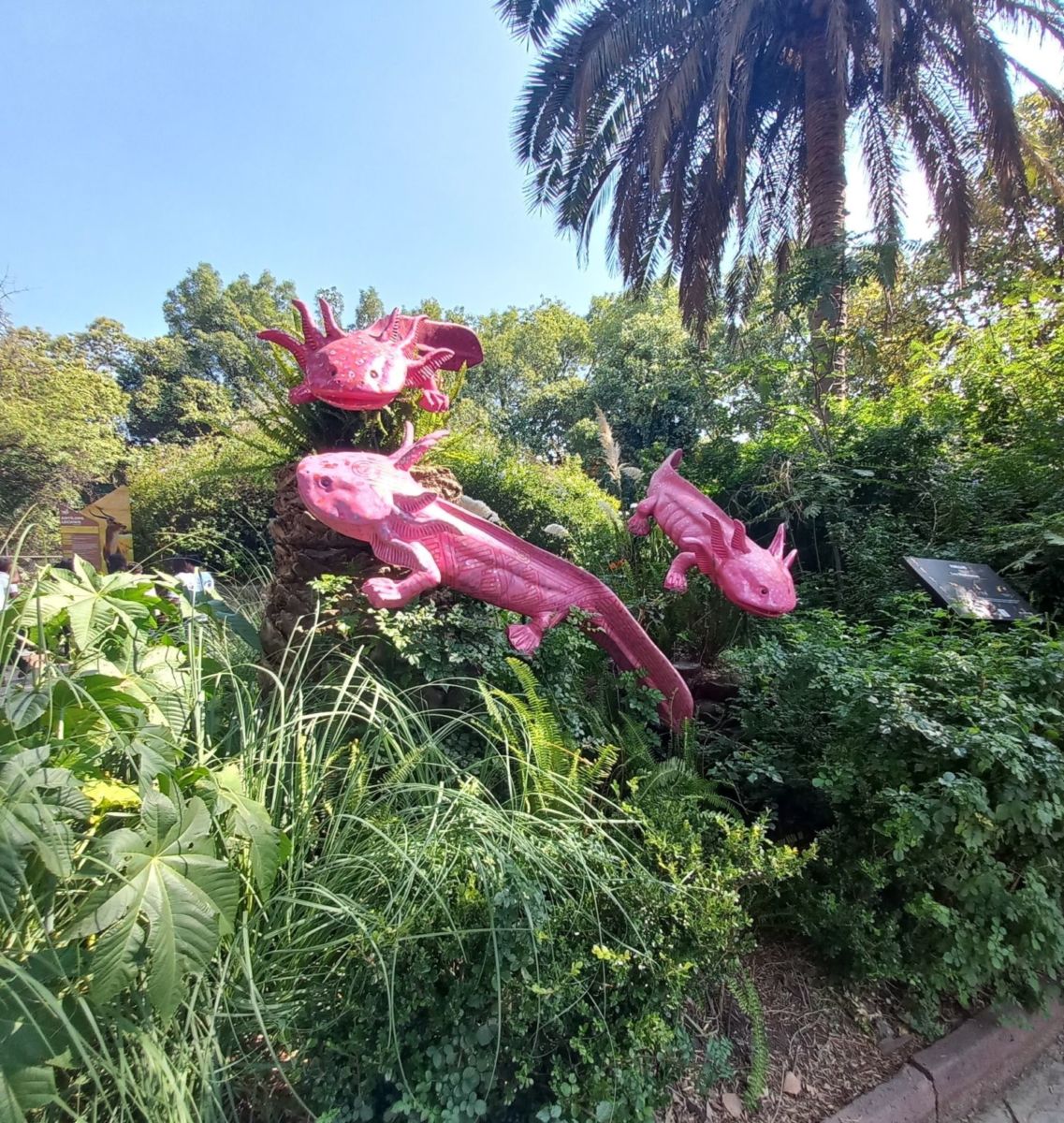 Museo del Ajolote en la CDMX
