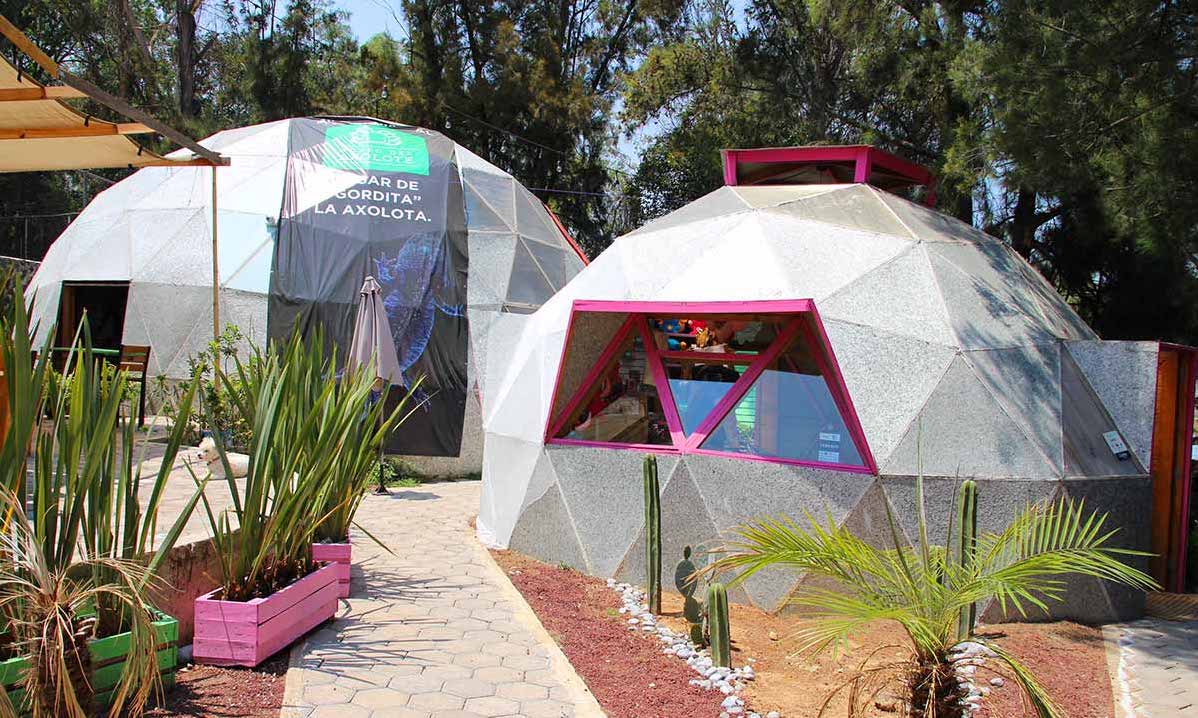 Cúpulas geodésicas del Museo del Axolote