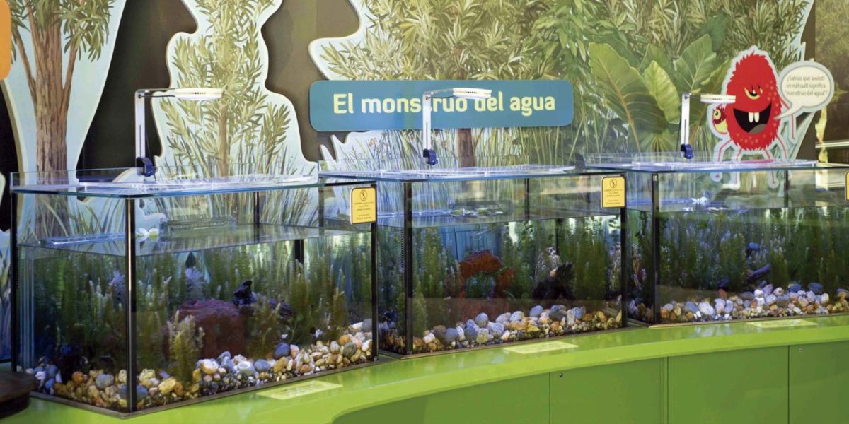 Ajolotario en el Museo del Axolote