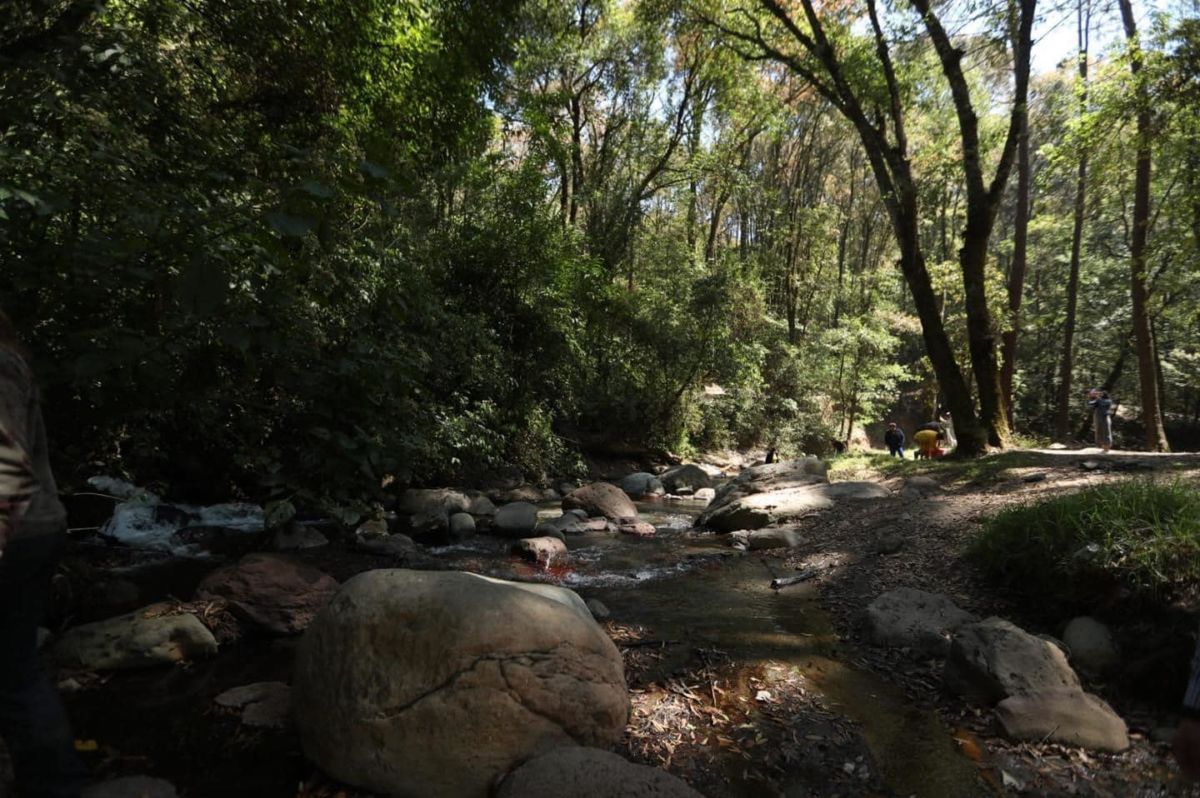 Parque Hermenegildo Galeana