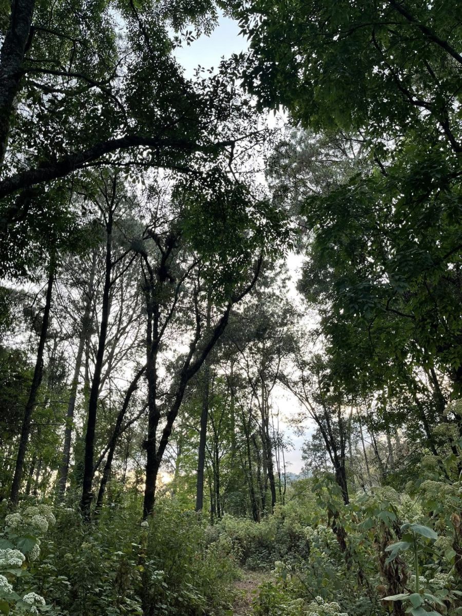 Parques en el Estado de México