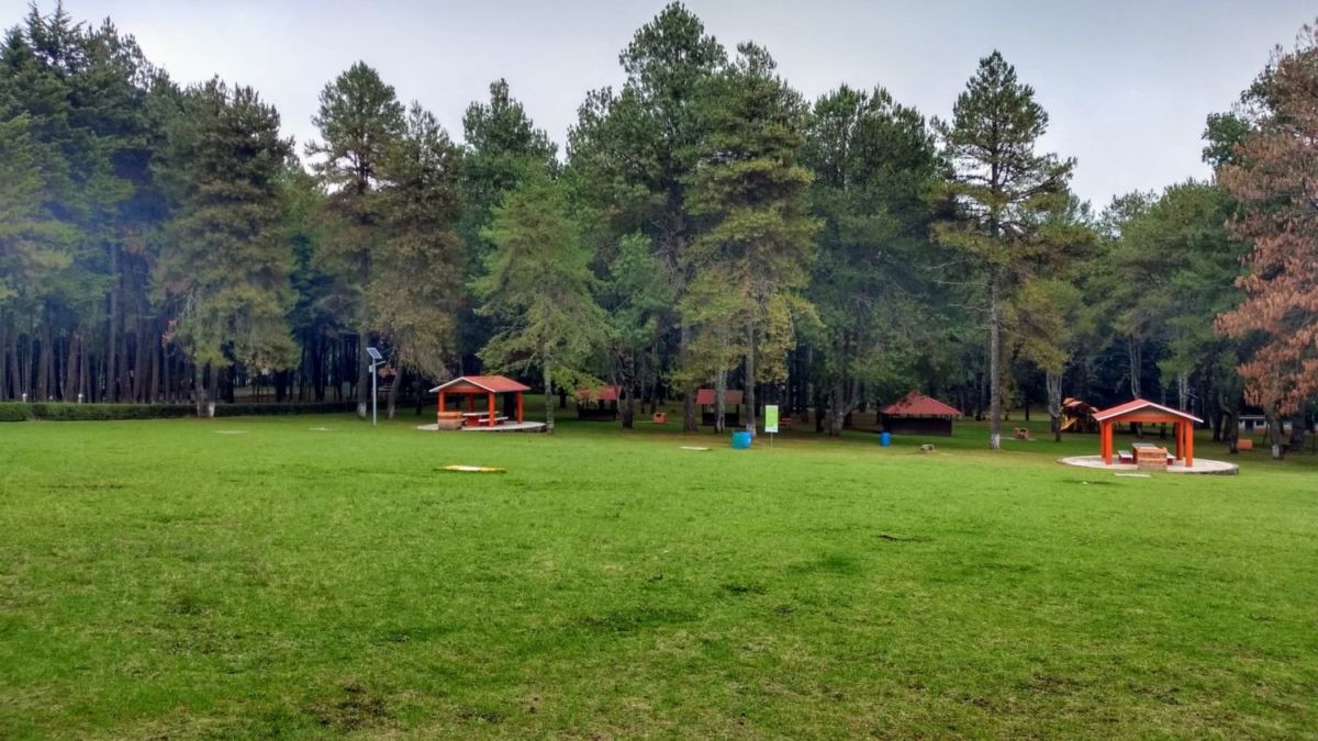 Palapas en el Parque Hermenegildo Galeana